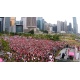 Pink Dot HK 2014